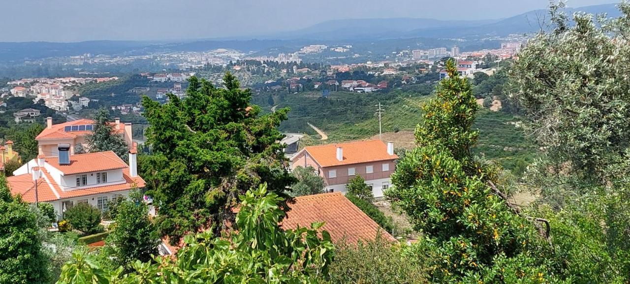 Ferienwohnung Lideal Coimbra Exterior foto